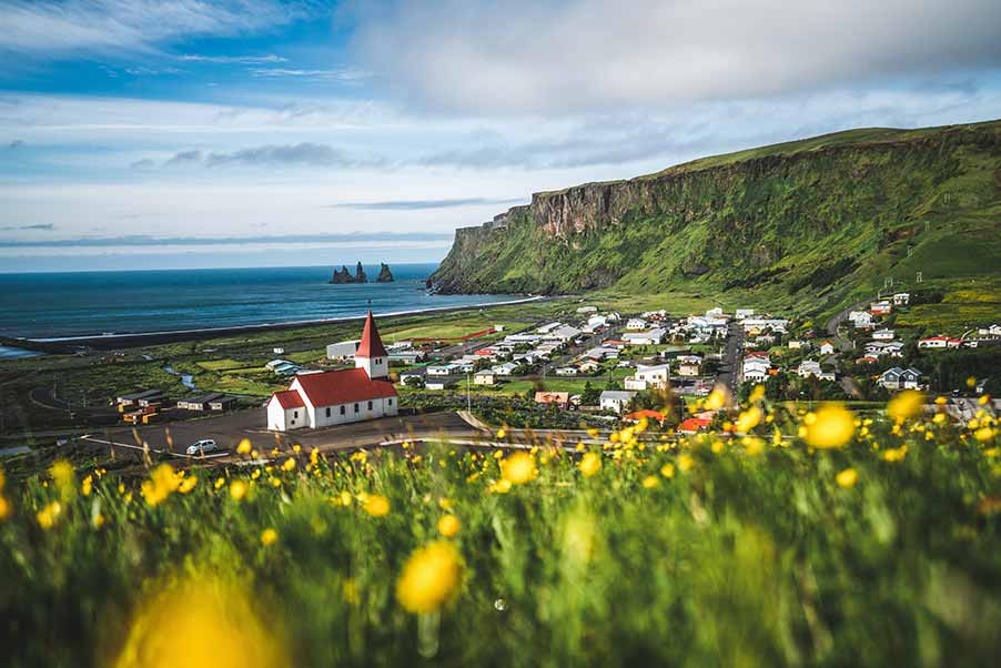 Scenic view of Vík village in Iceland with its iconic red-roofed church, lush green cliffs, and distant sea stacks, framed by vibrant yellow wildflowers in the foreground.